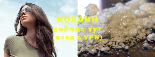 твердый Новокубанск