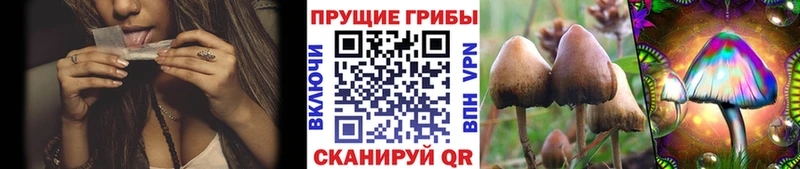 ссылка на мегу ссылка  Кузнецк  Псилоцибиновые грибы мухоморы 