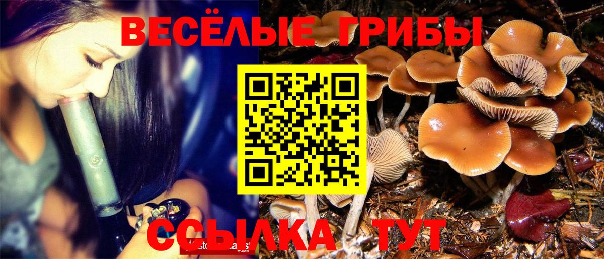 Галлюциногенные грибы ЛСД Кузнецк