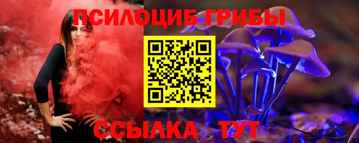 Псилоцибиновые грибы Cubensis Кузнецк