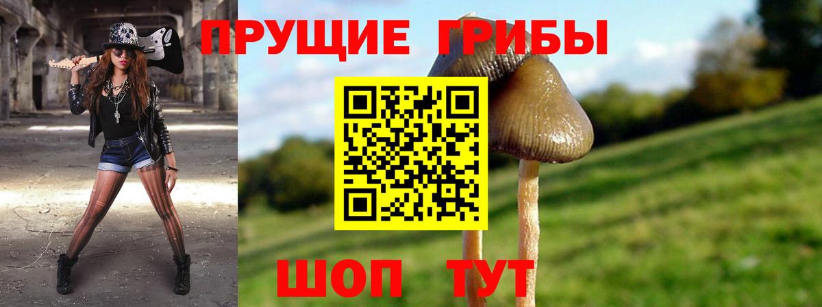 Галлюциногенные грибы прущие грибы  Вход с VPN  Галлюциногенные грибы MAGIC MUSHROOMS  Кузнецк 