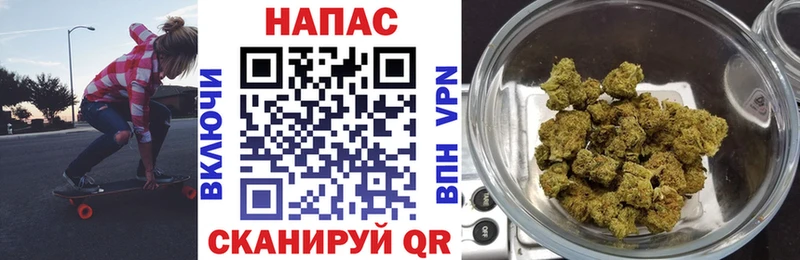 Конопля семена  Кузнецк 